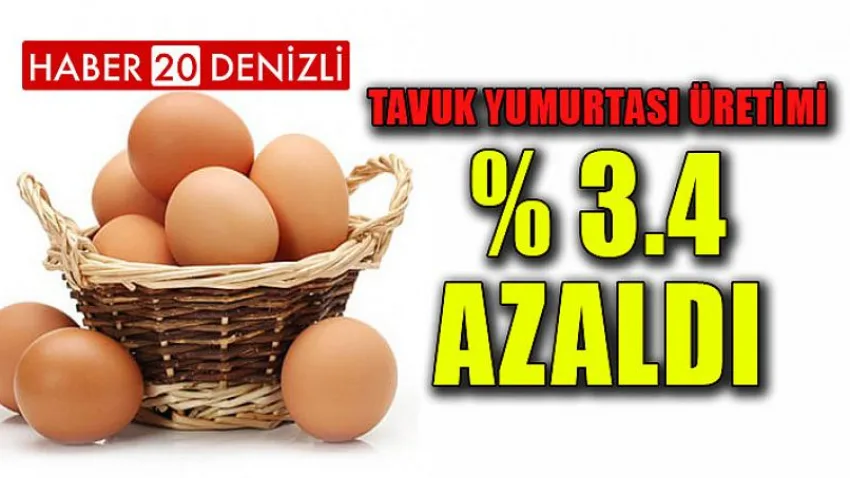 Tavuk Yumurtası Üretimi Yüzde 3.4 Azaldı