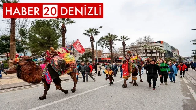 Pehlivan develer görücüye çıkıyor