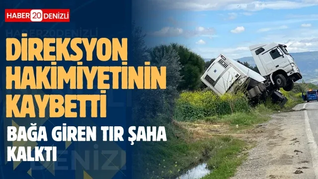 Bağa giren tır şaha kalktı