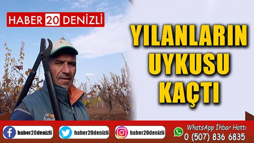 Yılanların Uykusu Kaçtı