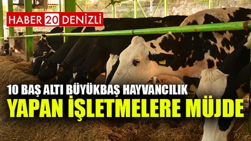 Düve Alım Desteği