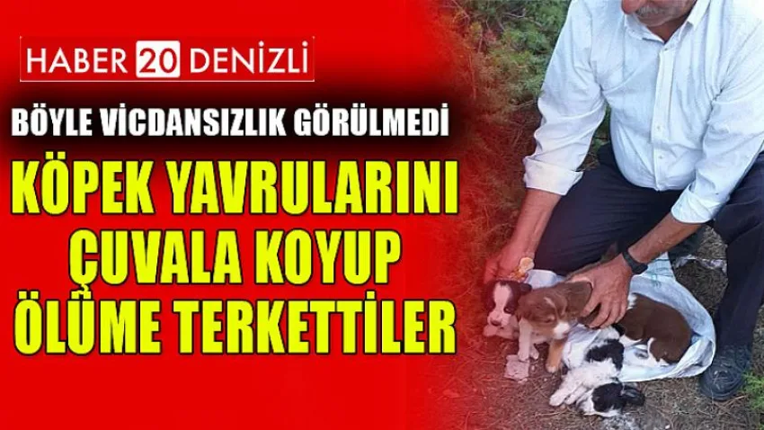 Köpek yavrularını çuvala koyup ölüme terk ettiler