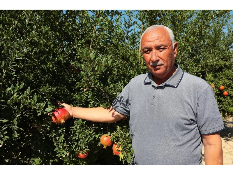 Büyükşehir’den örnek bir proje daha