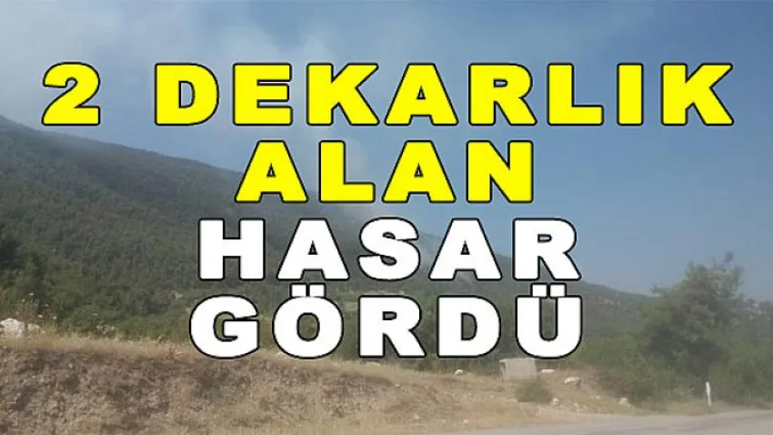 2 Dekarlık Alan Hasar Gördü