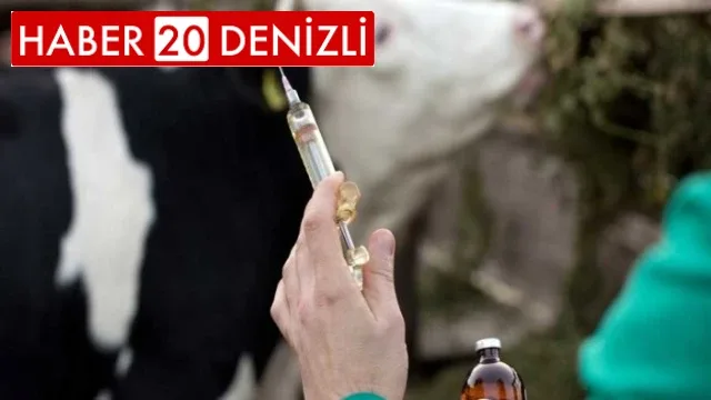 2023 Yılı Hayvan Hastalıkları ile Mücadele ve Hayvan Hareketleri Programı Aşılama Çalışmaları Basın Açıklaması