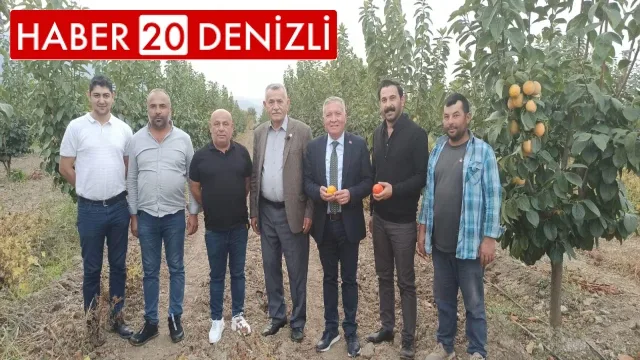 Honaz’da Cennet Hurması Üreticileri Nefes Alacak!