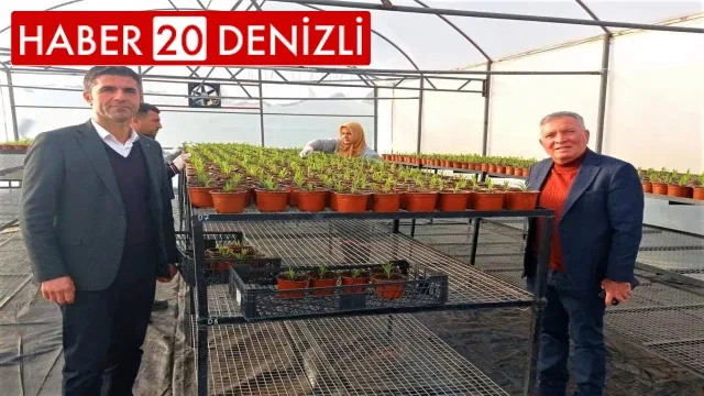Honaz Belediyesi kendi çiçeğini kendisi üretiyor