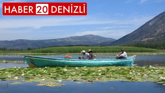 Nilüferin görsel şöleni başladı