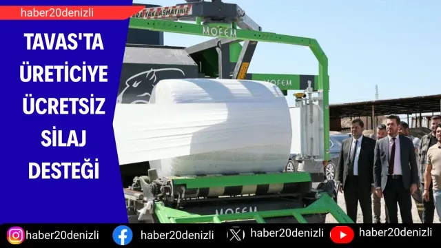 Tavas'ta üreticiye ücretsiz silaj desteği