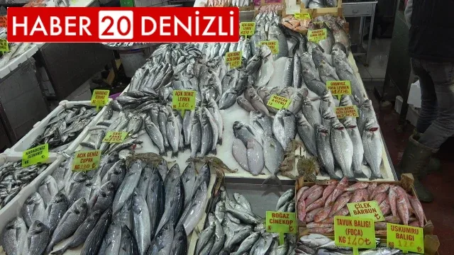 Balık tezgahları çinekop ile şenlendi