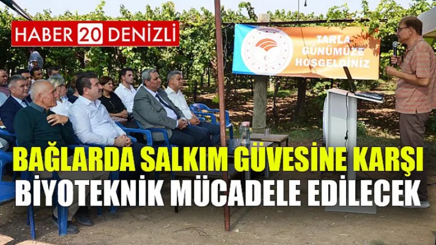 Bağlarda Salkım Güvesine Karşı Biyoteknik Mücadele Edilecek