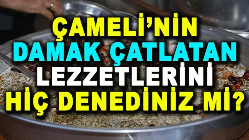 Çameli'nin Damak Çatlatan Lezzetlerini Hiç Denediniz Mi?