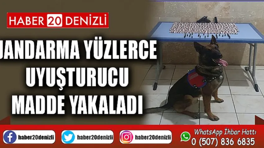 Jandarma yüzlerce uyuşturucu madde yakaladı