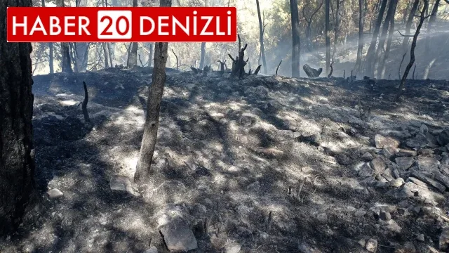 Denizli'de ormanlık alanda çıkan yangın büyümeden söndürüldü