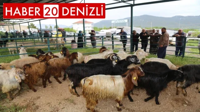 Canlı hayvan pazarı hareketlenmeye başladı