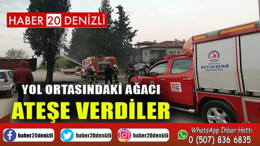 Yol ortasındaki ağacı ateşe verdiler