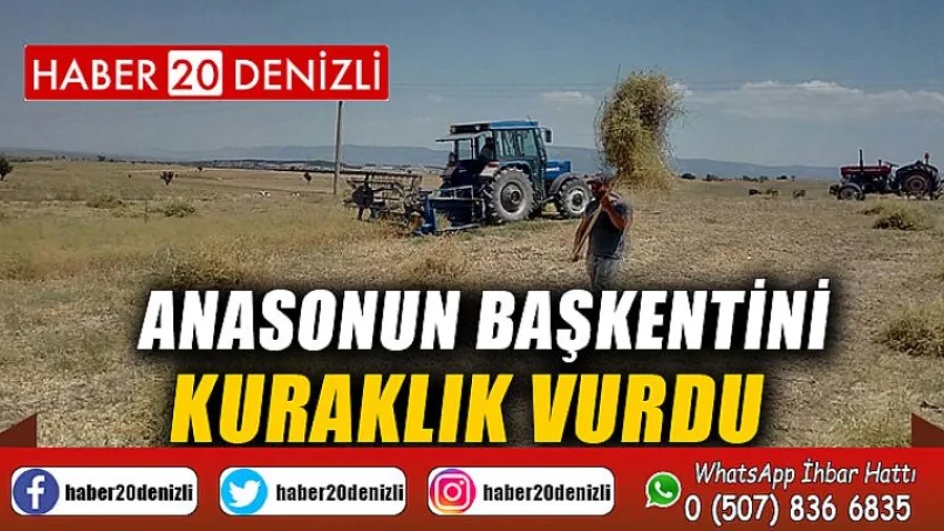Anasonun başkentini kuraklık vurdu