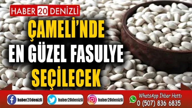 Çameli’nde En Güzel Fasulye Seçilecek