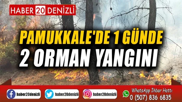 Pamukkale'de 1 günde 2 orman yangını