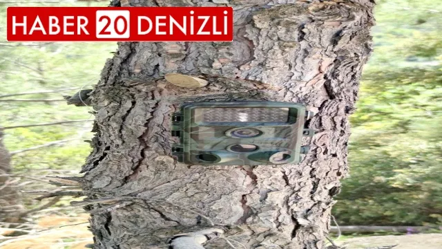 Fotokapanlar yaban hayatını korumak için kuruldu