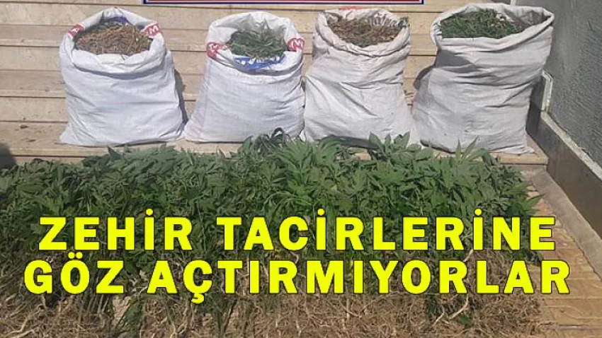 Zehir Tacirlerine Göz Açtırmıyorlar