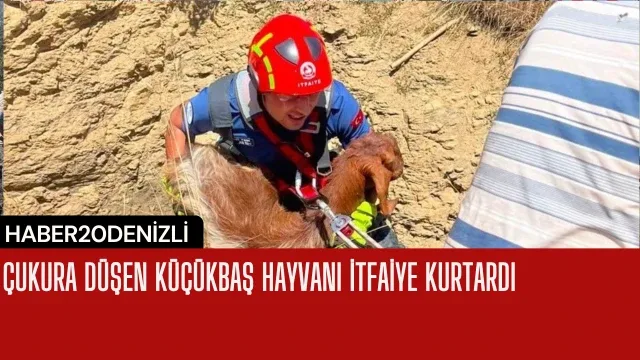 Çukura düşen küçükbaş hayvanı itfaiye kurtardı