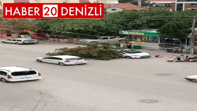 Denizli'de etkili olan fırtınada ağaçlar devrildi