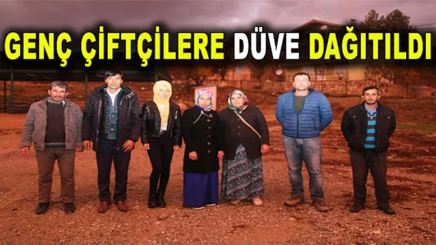 Genç Çiftçilere Düve Dağıtıldı