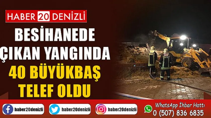 Besihanede çıkan yangında 40 büyükbaş telef oldu